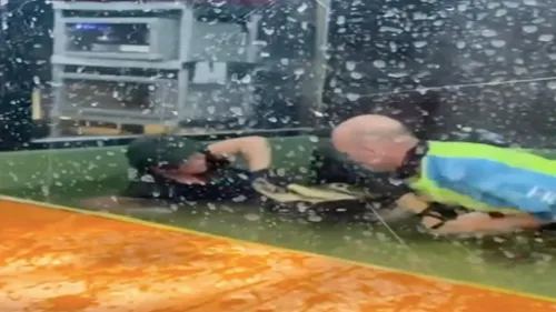 Une soigneuse violemment attaquée par un alligator lors d’une fête...